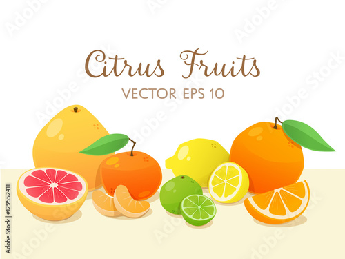 Citrus fruit still life. Vector illustration.