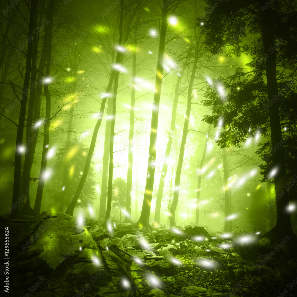 Fototapeta premium Fantasy yellow green color foggy forest tree landscape scene with mystic firefly lights.