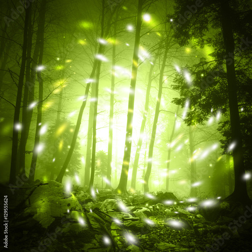 Fantasy yellow green color foggy forest tree landscape scene with mystic firefly lights.