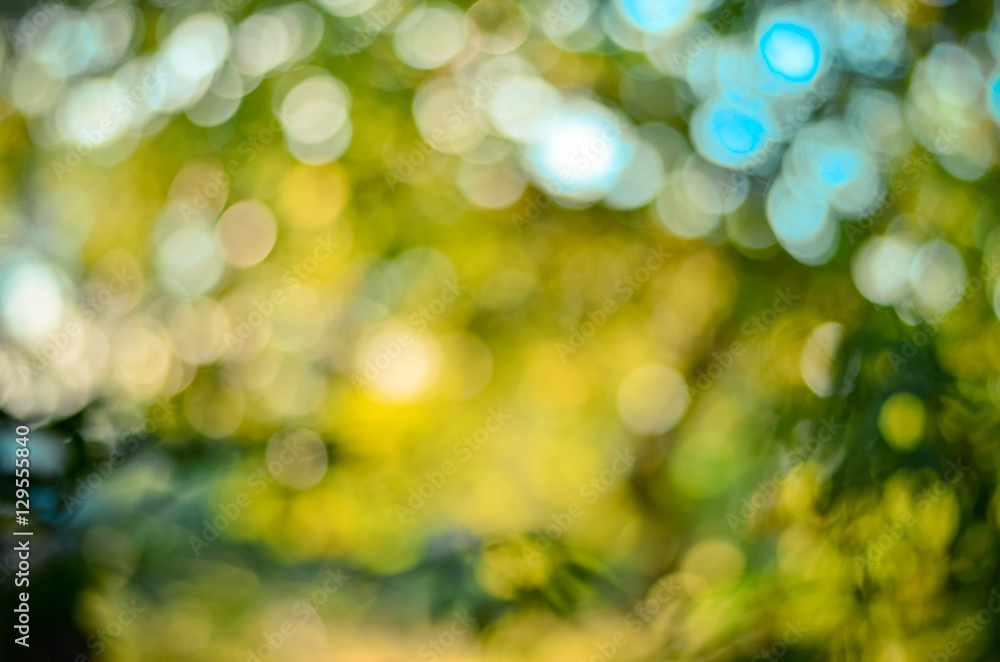 Natural Bokeh,blurred bokeh.
Natural Bokeh,blurred bokeh.