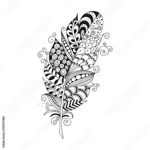 Hand drawn zentangle feather on white background photo