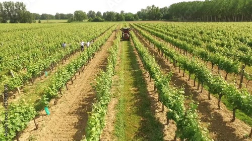 survol de vignobles dans le Bordelais