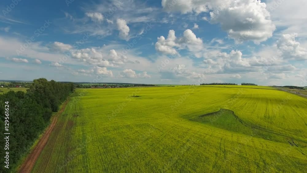 aerial view on beautiful flowering rapeseed field, 4k
aerial view on beautiful flowering rapeseed field, 4k