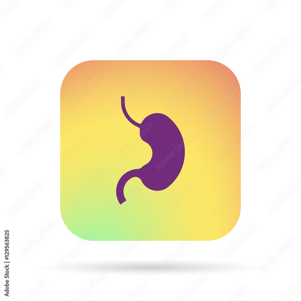 Fototapeta premium icon stomach