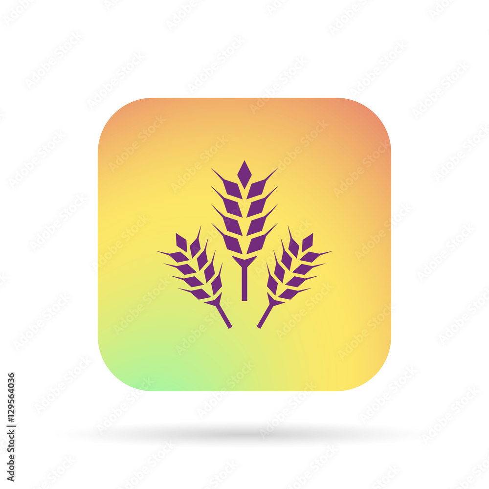 icon wheat