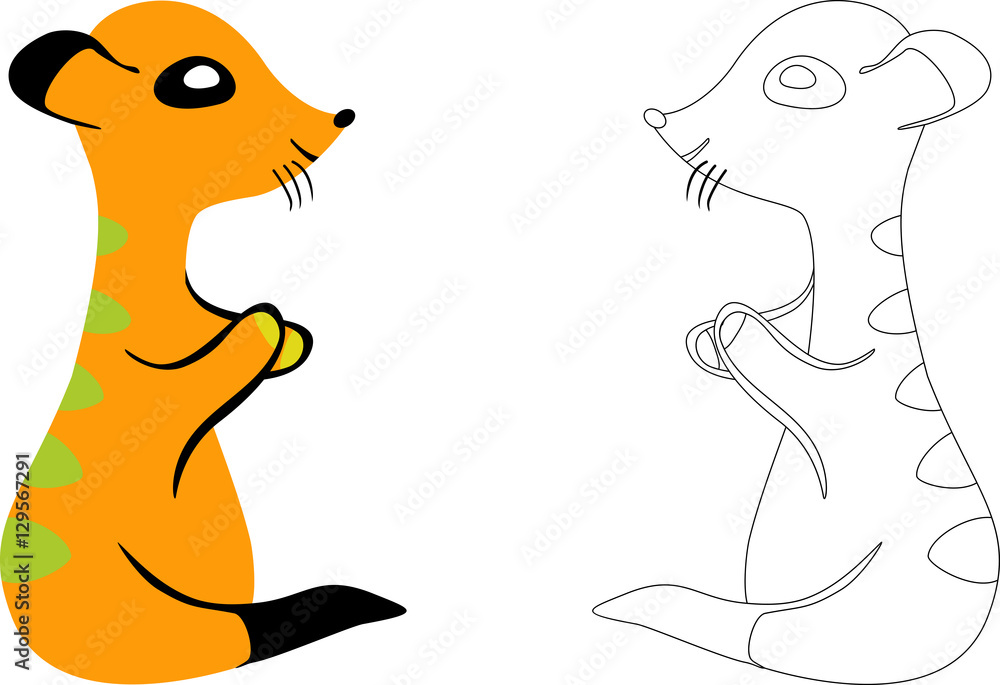 Meerkat Meerkat