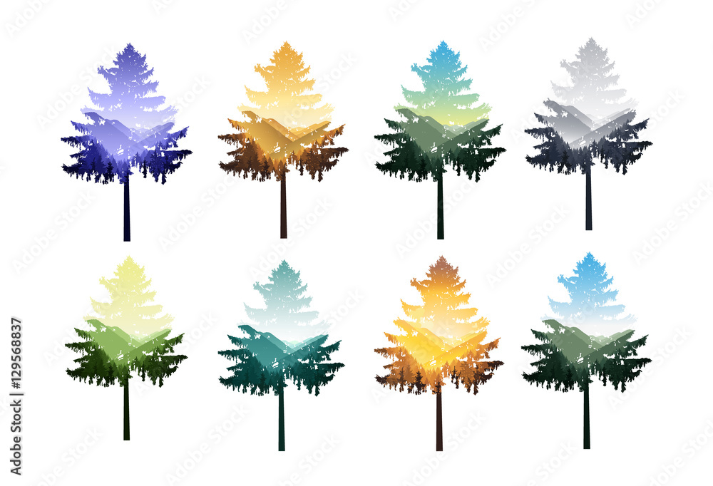 Fototapeta premium Natural silhouette of coniferous tree with panorama of mountains.Yellow tones. Autumn.