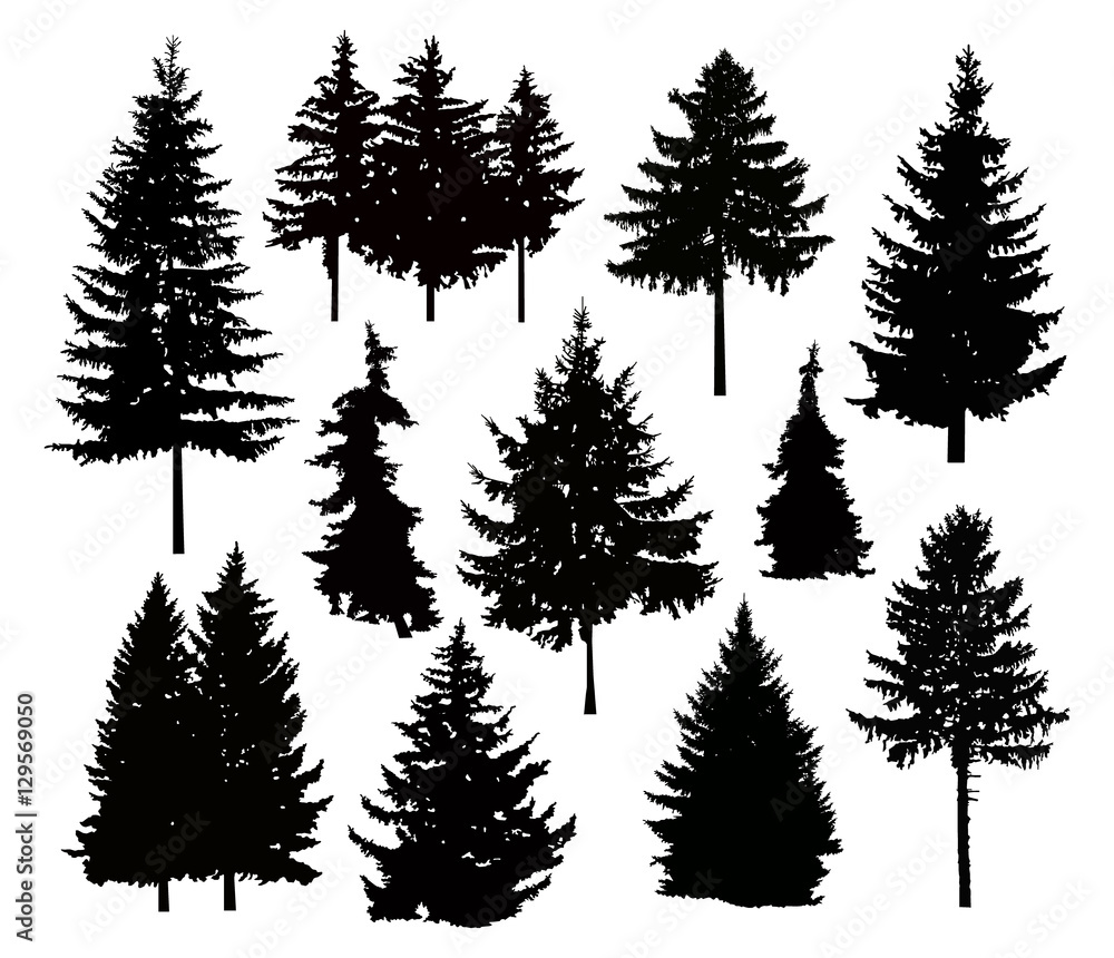 Silhouette of different pine trees. Can be used as poster, badge, emblem, banner, icon, sign, decor... - obrazy, fototapety, plakaty 