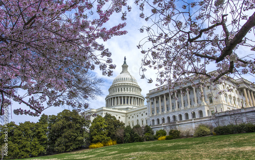 Captiol in spring