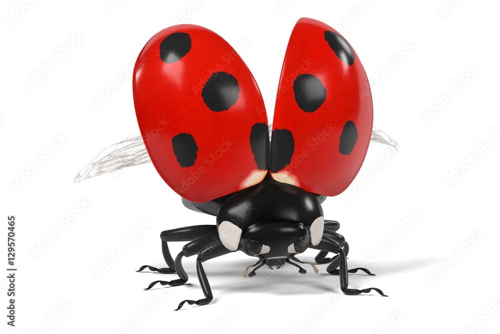 realistic 3d render of coccinella sepmtempunctata realistic 3d render of coccinella sepmtempunctata