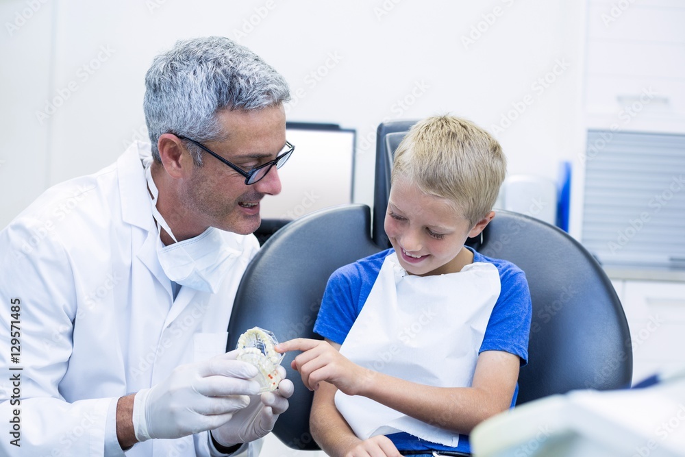 Obraz premium Dentist showing model teeth to patient