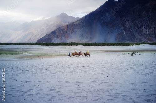 Hunder Sand Dunes of Nubra Valley.