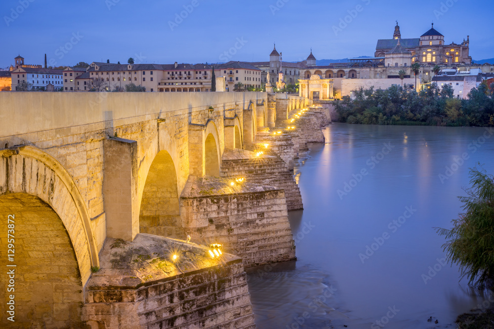 Obraz premium The Mezquita and Roman bridge of Cordoba