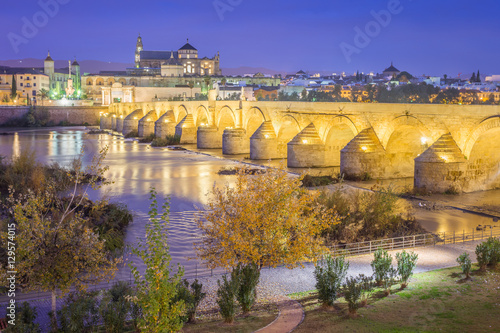 The Mezquita and Roman brid...