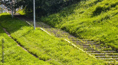 Stairs overgrown with grass
 photo