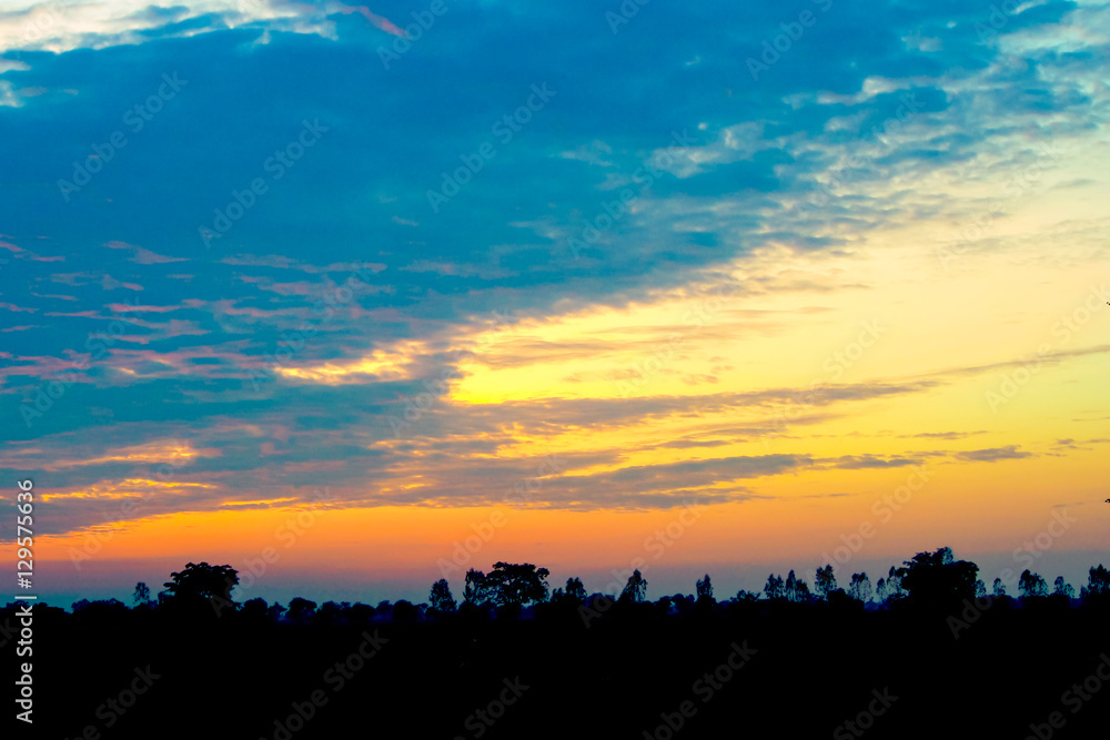 evening sky with silhouette field
