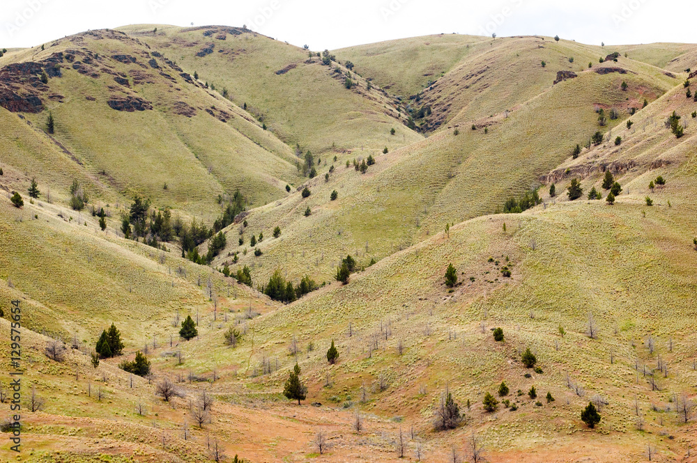 Fototapeta premium John Day Fossil Beds National Monument
