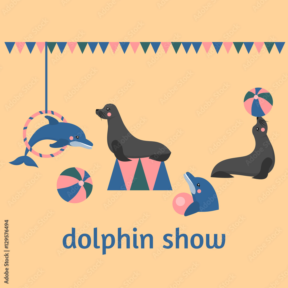Obraz premium dolphin show, dolphinarium, sea lion, seal, aqua circus, ocian animal