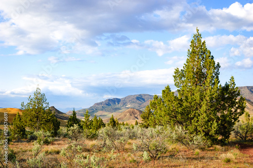  John Day Fossil Beds National Monument photo