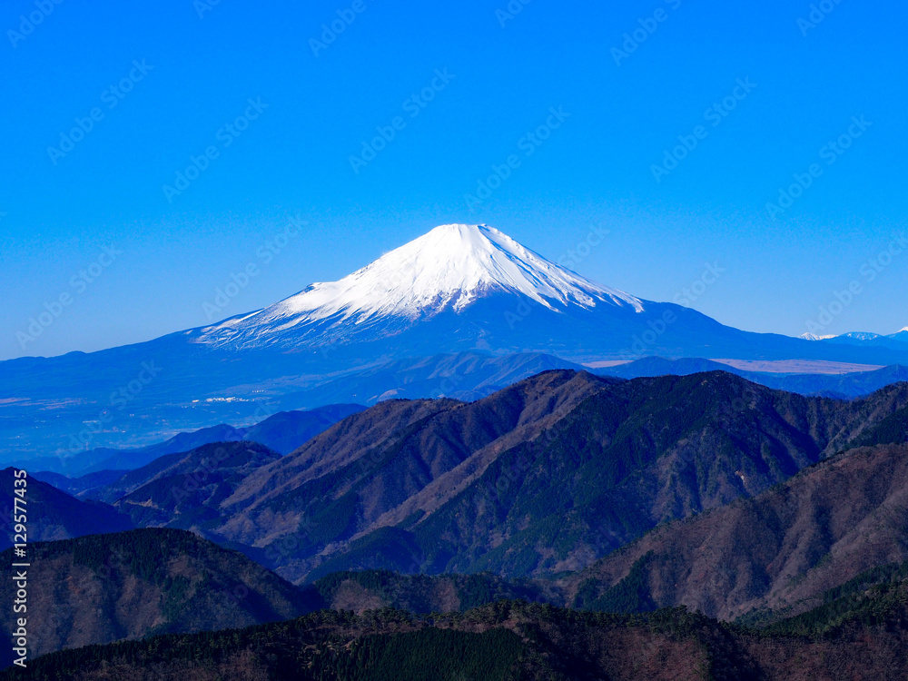 丹沢からの富士山