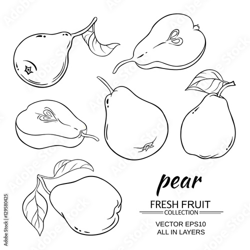 pear vector set