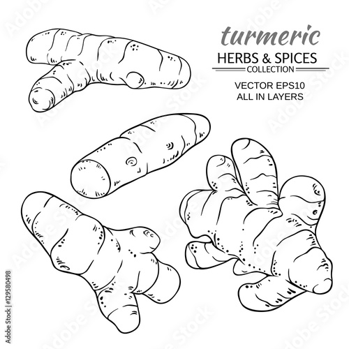 turmeric roots set