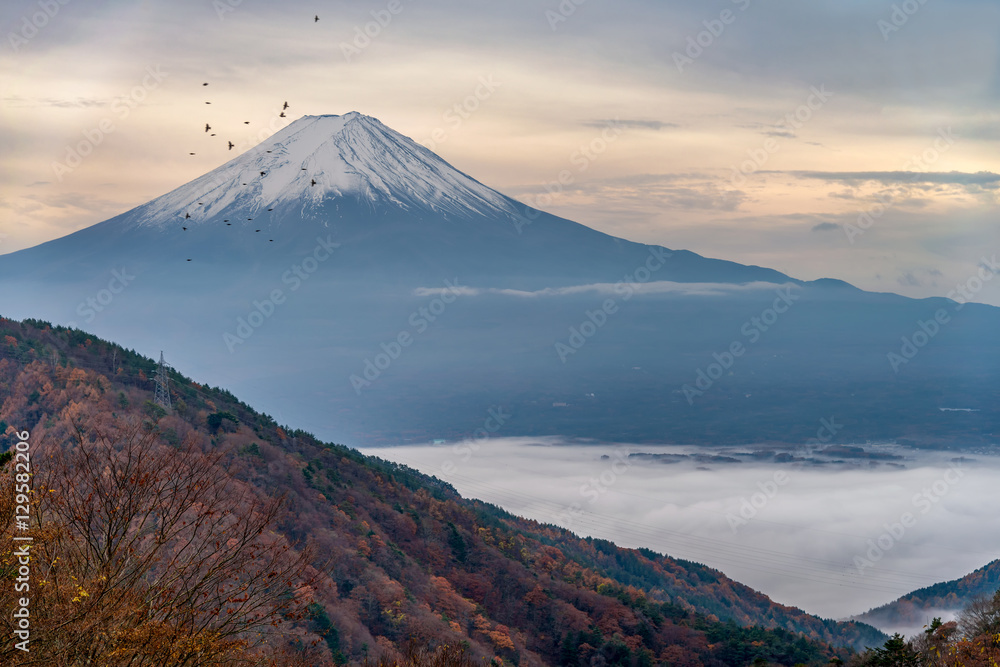 Fototapeta premium Beautiful mount Fuji in autumn color season of trees. The Kawaguchi town and lake below covered with sea of fog.