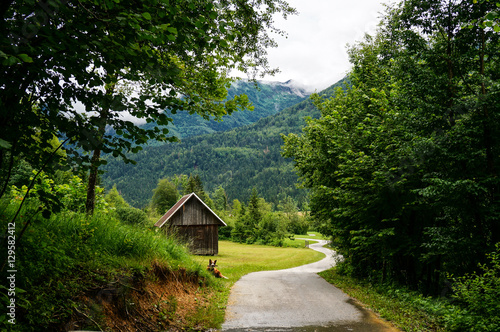 On the road to Bohinj 