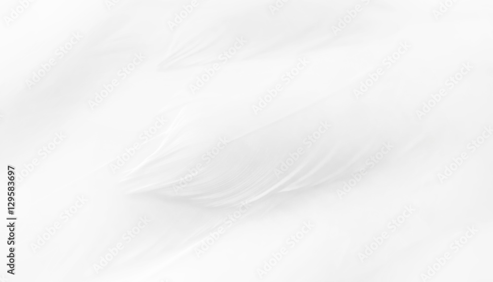 Texture of a white feathers Texture of a white feathers