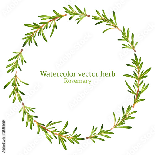 Fototapeta Naklejka Na Ścianę i Meble -  Watercolor vector wreath with rosemary
