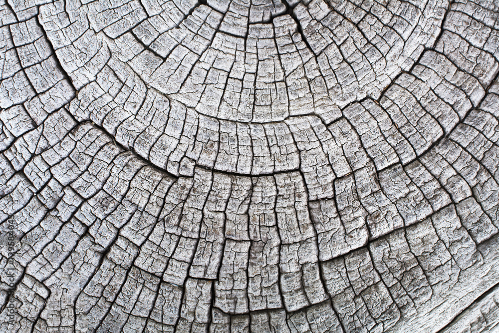 Fototapeta premium vintage style old aged wooden with crack pattern