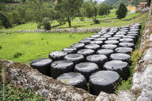 Bales of silage in a field in Somiedo Nature Reserve, Principality of Asturias, Spain photo