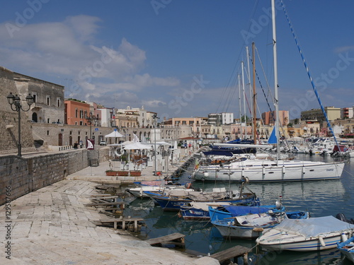 Tablou pe pânză Bisceglie harbor