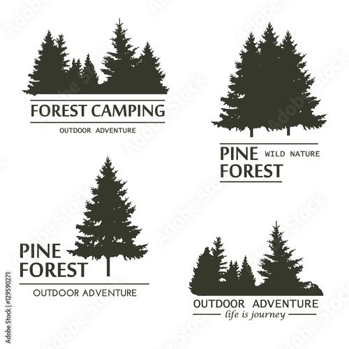 Pine tree forest silhouette vector.