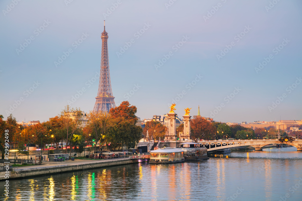 Overview of Paris with the Eiffel tower