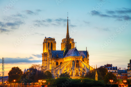 Obraz na płótnie Notre Dame de Paris cathedral w salonie