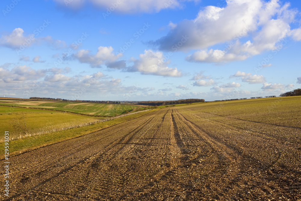 cultivated hillside field cultivated hillside field