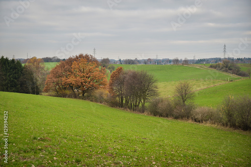 Green field with colorful trees on the horizon. Autumn landscape. Germany  Europe countryside.