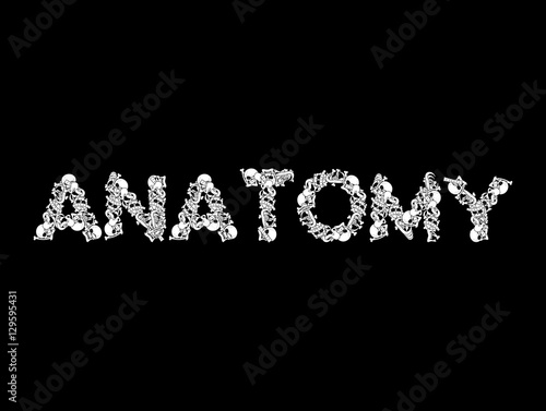 Mandible human isolated. Lower jaw. Anatomy of bone. Part of sku