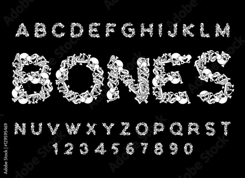Mandible human isolated. Lower jaw. Anatomy of bone. Part of sku