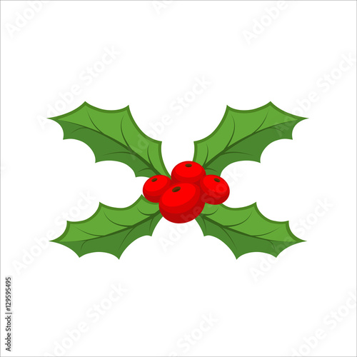 Sprig of mistletoe isolated. Traditional Christmas plant. Holida