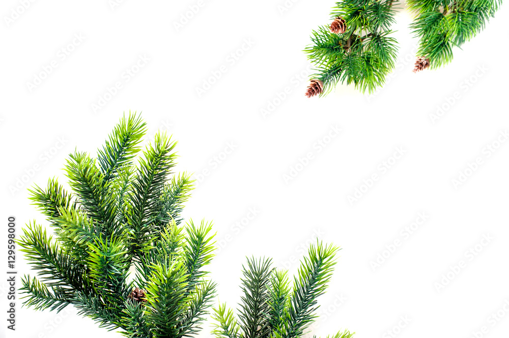 frame green twigs of spruce and place for text frame green twigs of spruce and place for text