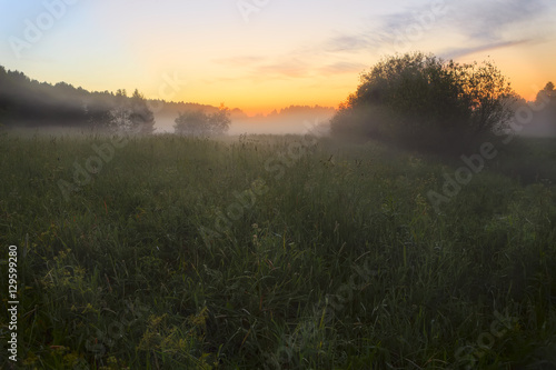 Misty sunset over the meadow in the summer
