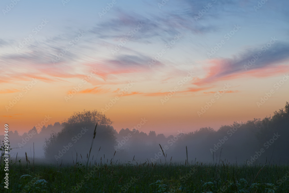Sunset over the meadow in a foggy summer day