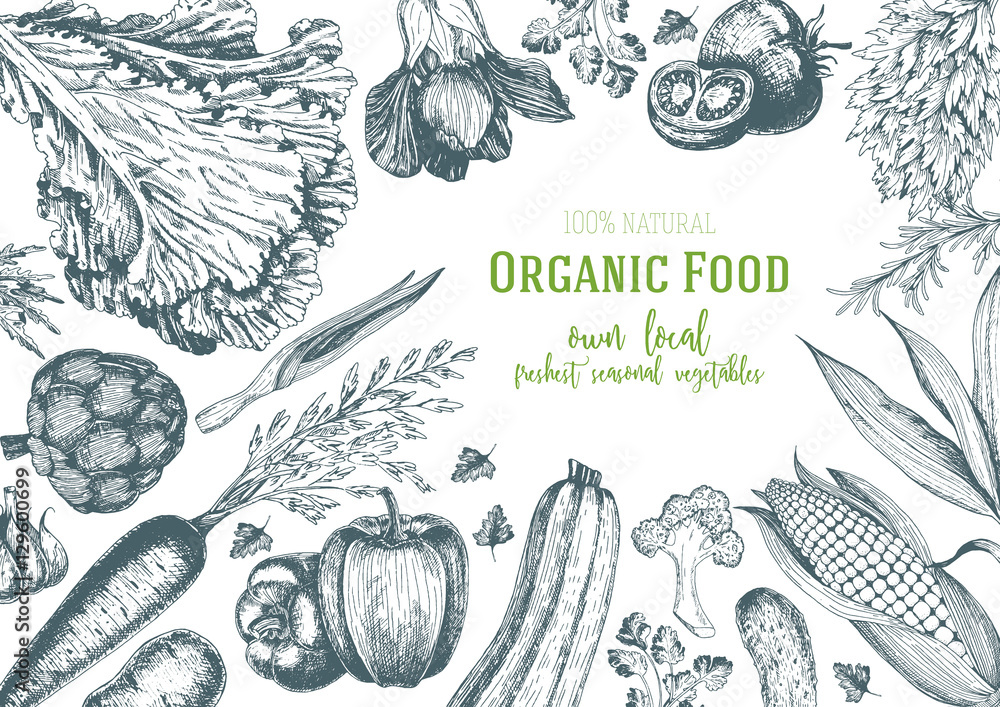 Vegetables top view frame. Organic food poster. Vector illustration. Linear graphic. Vegetables top view frame. Organic food poster. Vector illustration. Linear graphic.