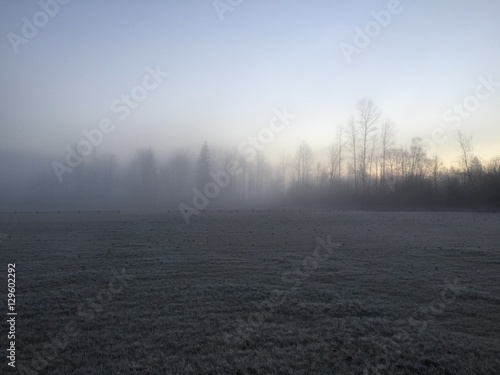 Willis Tucker Field Snohomish Fog