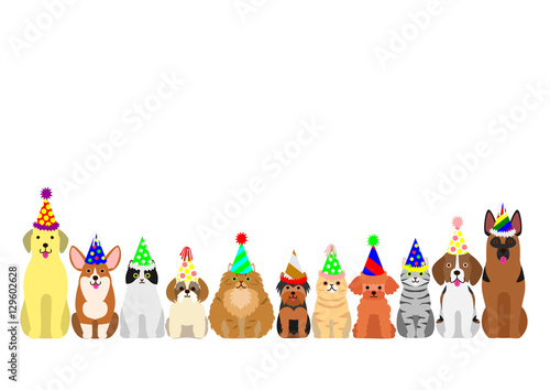 cats and dogs border set with colorful party hat