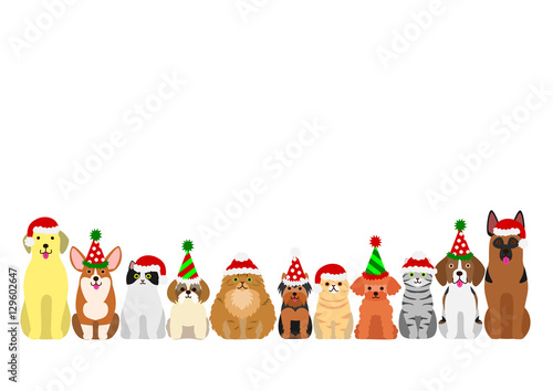 cats and dogs border set with christmas party hat