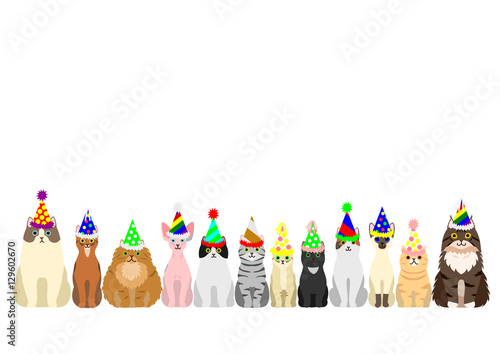 cats border set with colorful party hat