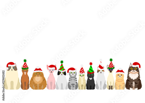 cats border set with christmas party hat